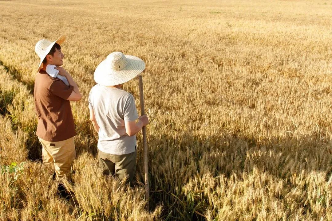 1100万人选择返乡，，怎样助力他们做事创业？？？？？