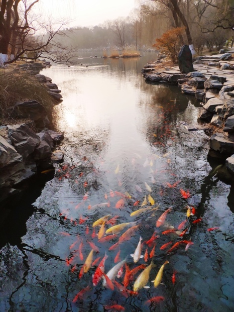 安博电竞·(中国区)官方网站