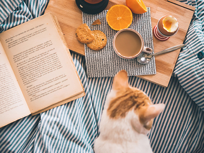 安博电竞·(中国区)官方网站