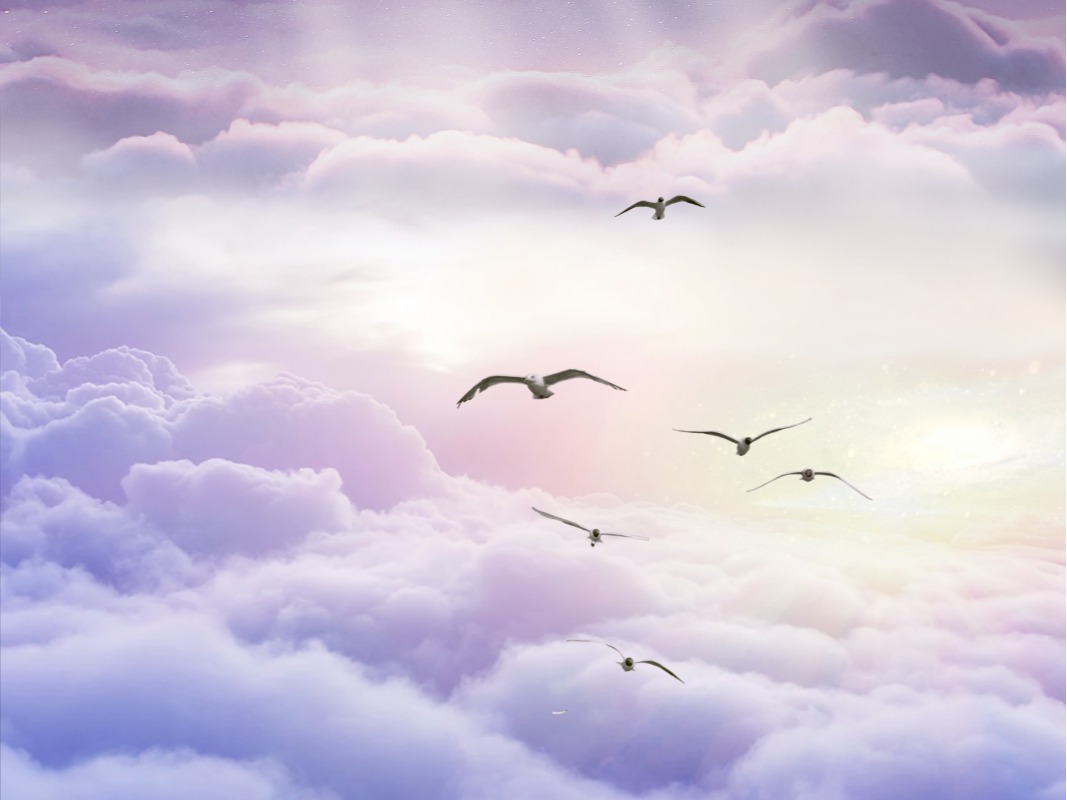 安博电竞·(中国区)官方网站