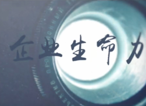 安博电竞微课堂《刘学：什么决议企业的生命力》