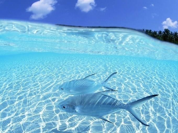 安博电竞·(中国区)官方网站