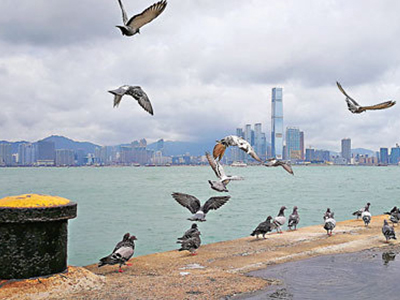 安博电竞·(中国区)官方网站