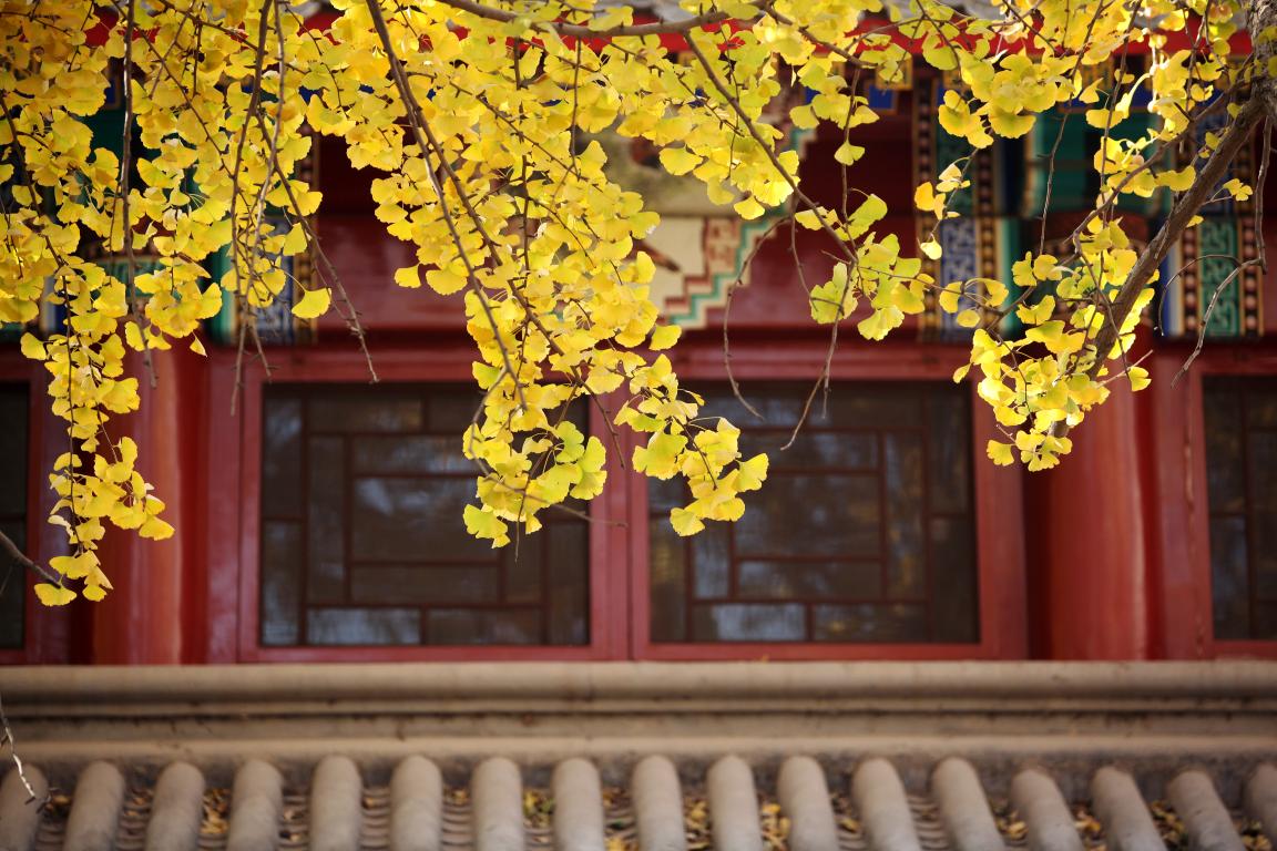 感动 | 确认过眼神，，，，，你是对的人