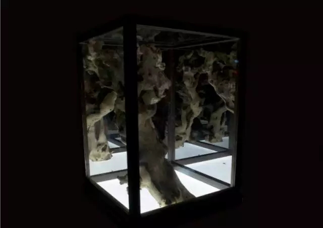 安博电竞·(中国区)官方网站