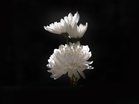 安博电竞·(中国区)官方网站