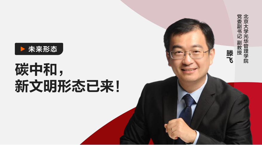 3D62F1744E1EFE0A22C59D3861F_C34FBA2E_33981