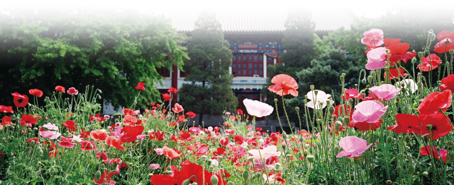 安博电竞·(中国区)官方网站