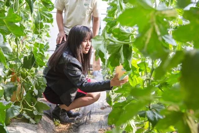 安博电竞·(中国区)官方网站