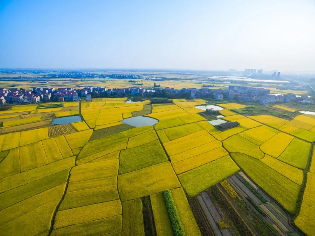 66DD482FFAEDB415AF0B98B75BE_B2B26172_1FF3B.jpeg?e=