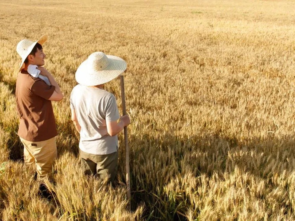 安博电竞·(中国区)官方网站