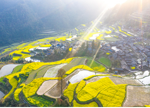 雷明：年轻人，，，，回到家乡，，，，让家乡重生