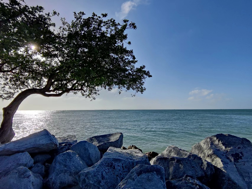 303CB8409312E8E390435665612_883E5847_120E91