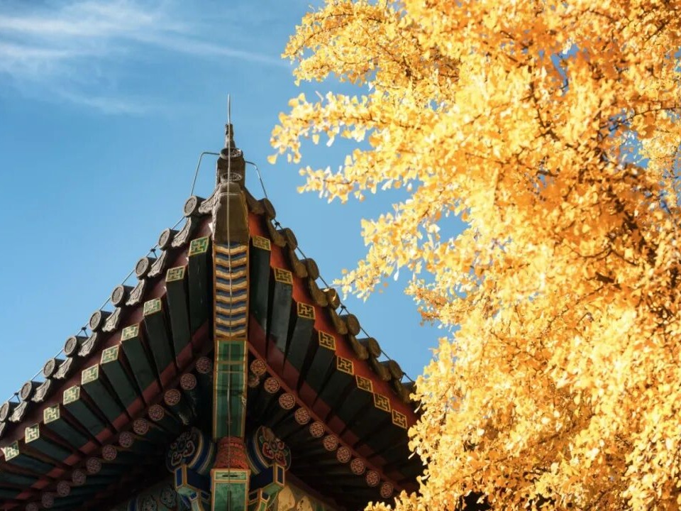 安博电竞·(中国区)官方网站