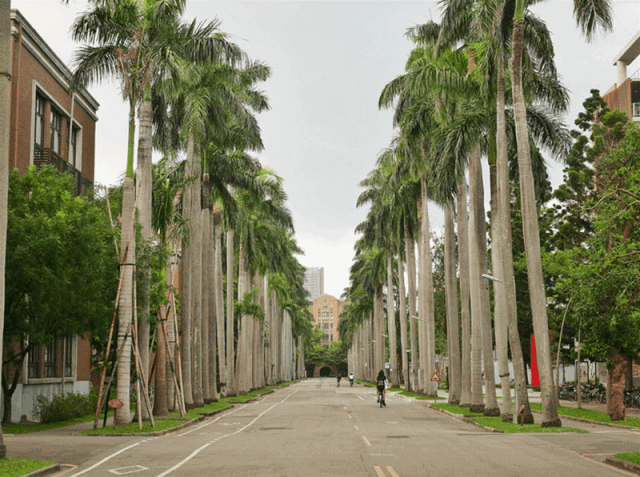 4D1A69FB78ECA9B043336A6A435_14497396_120958