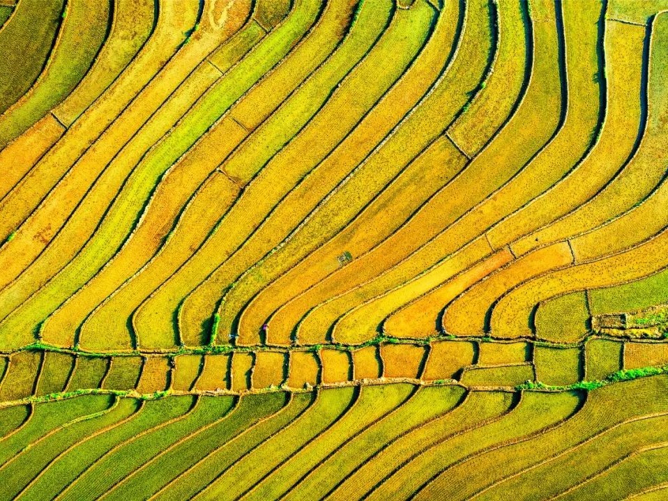 安博电竞·(中国区)官方网站