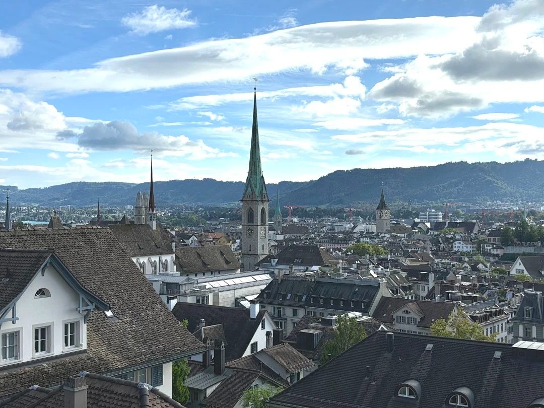 陶醉于湖光与山色，，叹止于财产与立异|MBA国际商务方略@苏黎世