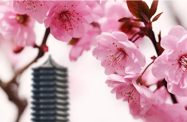 安博电竞·(中国区)官方网站