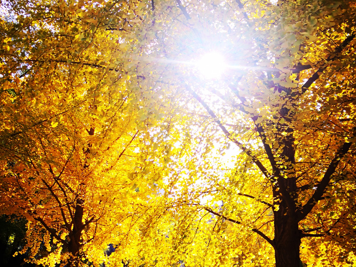  MPAcc分享会干货满满 | 尊重经济实质，，，回归会计初志 