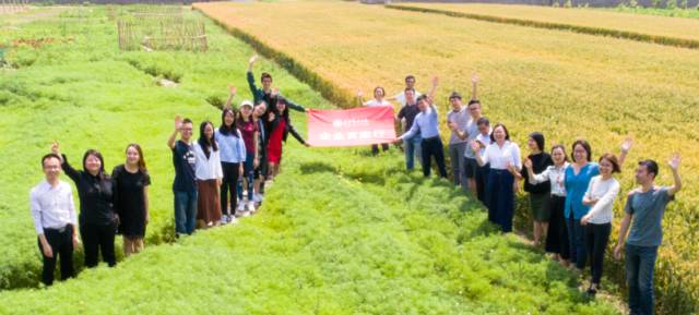 安博电竞·(中国区)官方网站