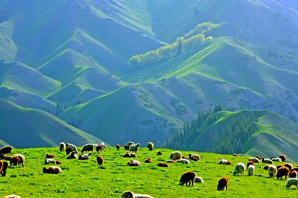 安博电竞·(中国区)官方网站