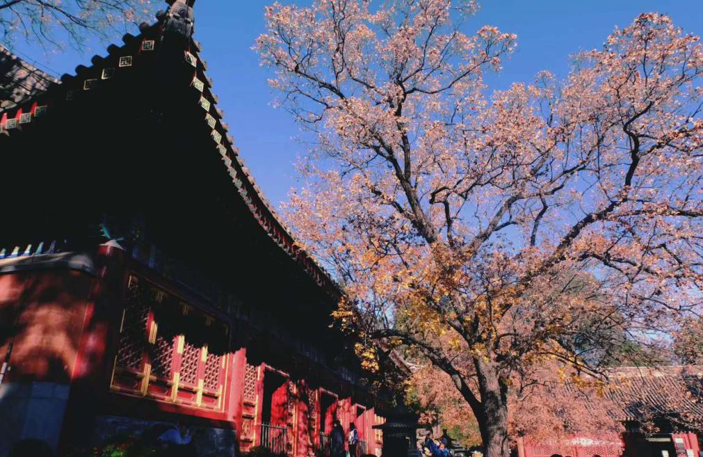 16CCCB3F7570FF03463EE27315F_F079AD88_244D1