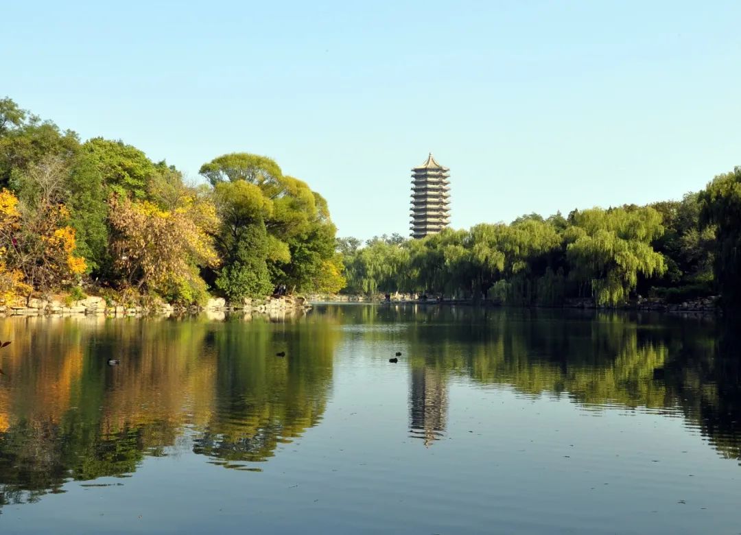 7E77D1AD7A98082B91D3DFB3480_6BF7804E_1BDB8