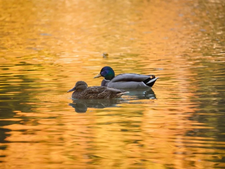 安博电竞·(中国区)官方网站