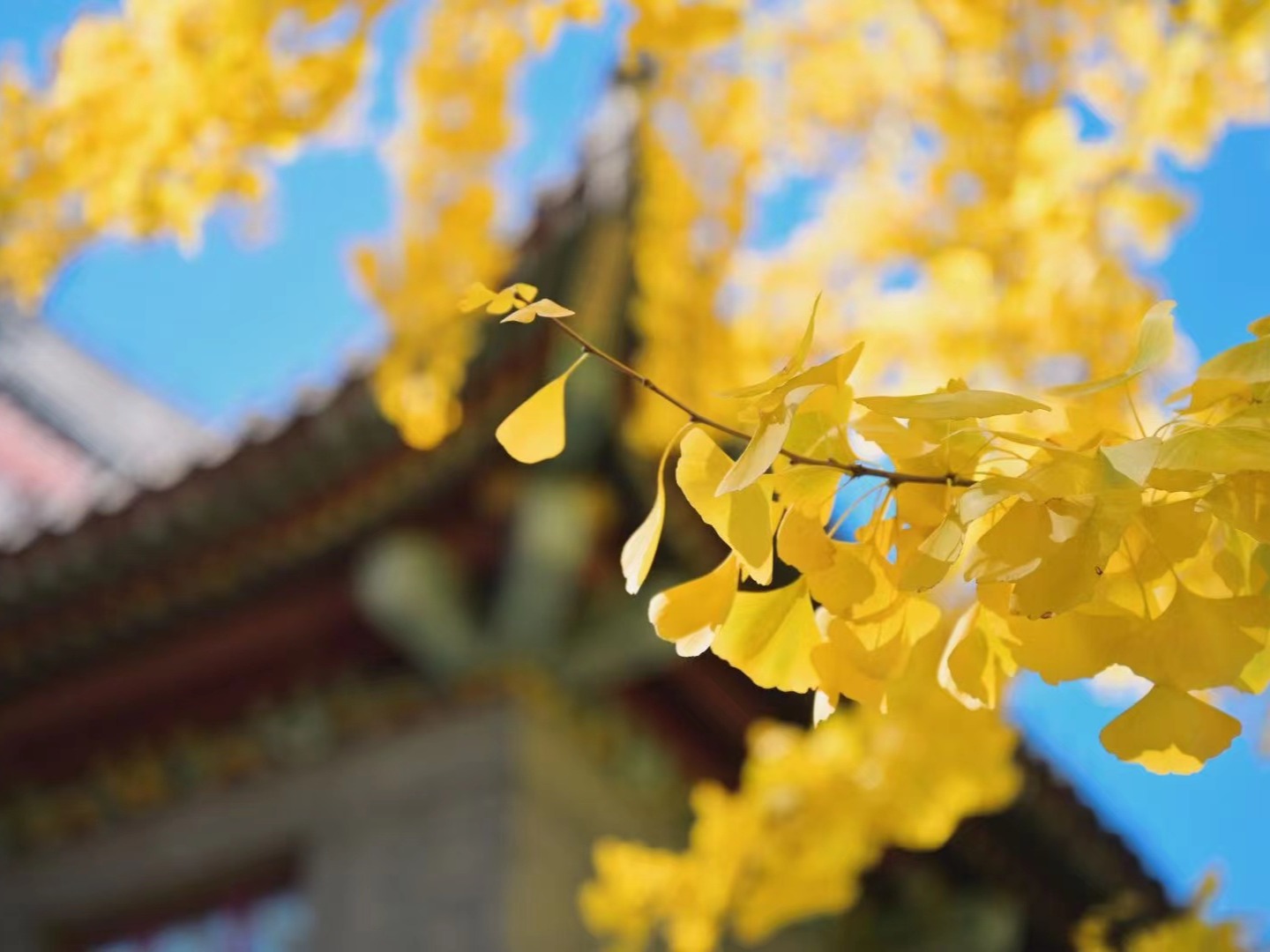 安博电竞·(中国区)官方网站