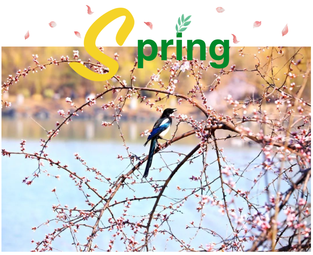 北大春日限制！带你一起寻找“因、思、想、而、光、华！”