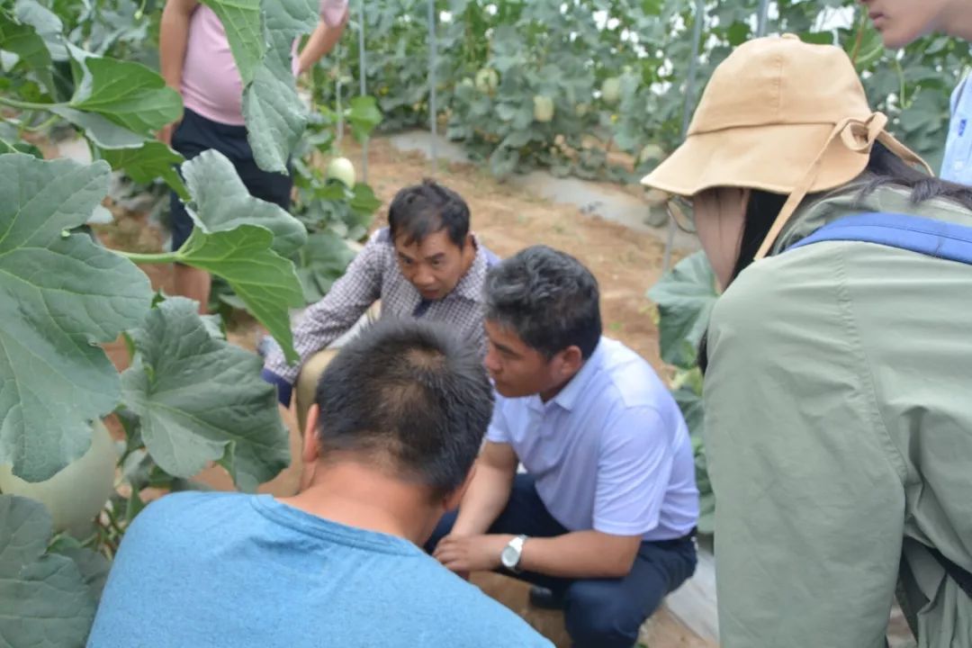 A7EF8A27C50EF67FD4B0ADA9A6D_8BA20667_18400.jpg?e=