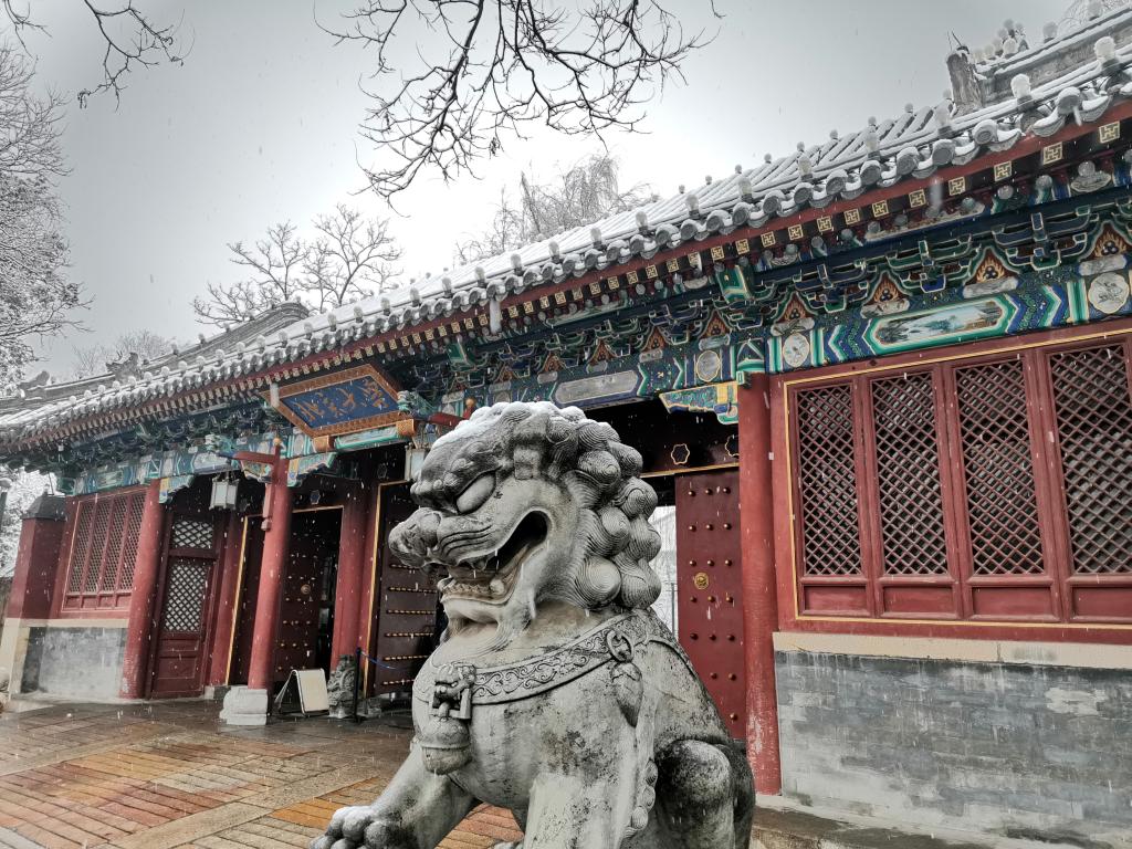  考研倒计时 | 预？？佳欣殖桑 