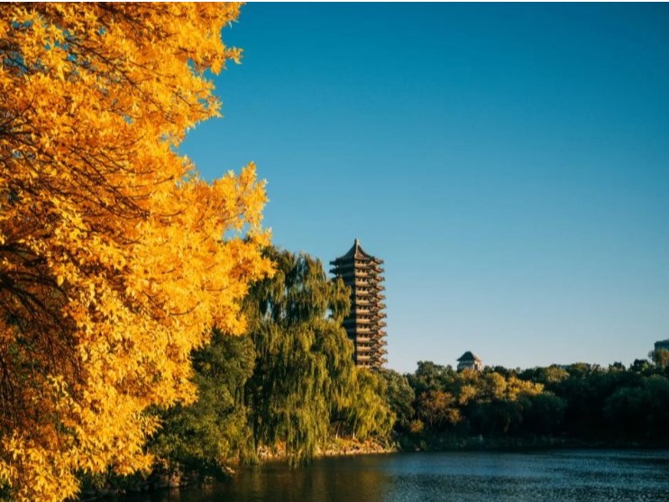 安博电竞·(中国区)官方网站