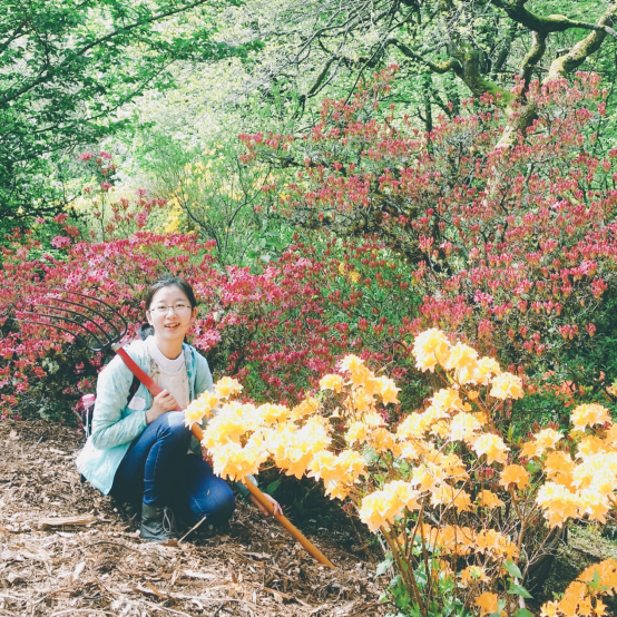 B251E20DCF78C1DB203560318E5_E7248BC6_12C5D3