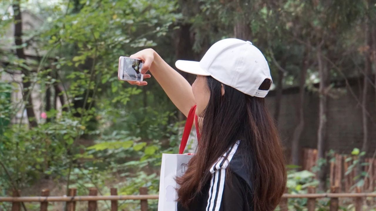 98365BFDE165C1D6A7395519BAD_45E2B8C7_1B4A8