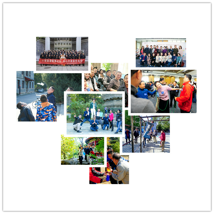 EE3CE239FFBB6F6DF89820EDD3E_8608A416_46113