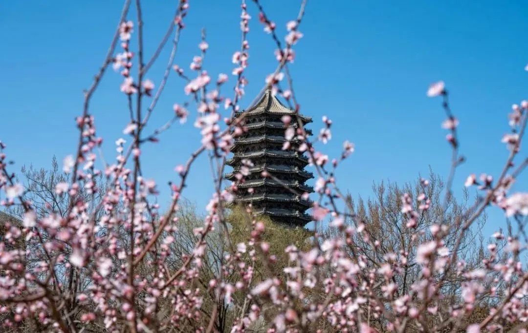 安博电竞·(中国区)官方网站