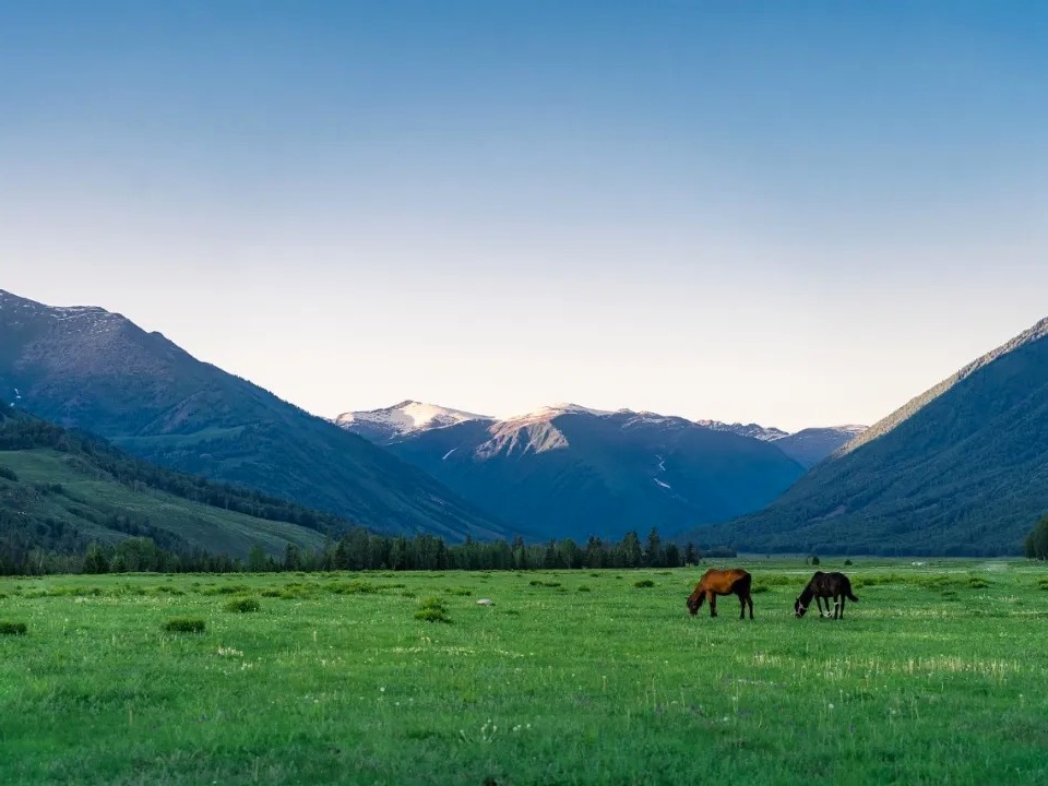 安博电竞·(中国区)官方网站