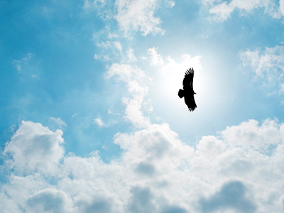 安博电竞·(中国区)官方网站