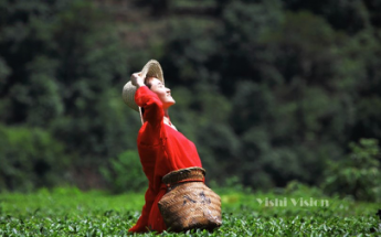 安博电竞·(中国区)官方网站