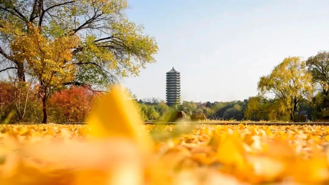 安博电竞·(中国区)官方网站