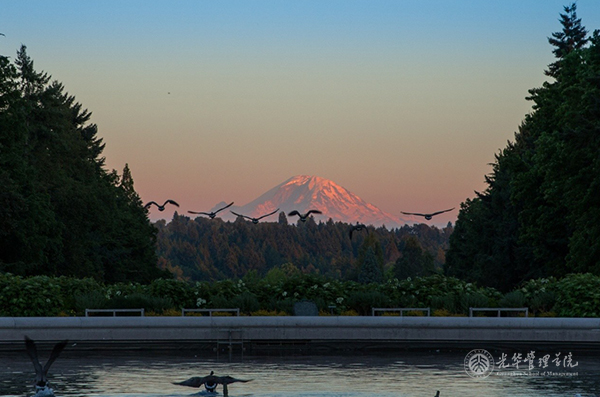 安博电竞·(中国区)官方网站