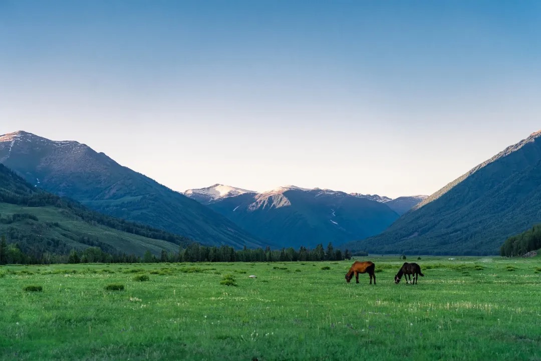 3D8F994FA33B58292675E22119D_0C7D3273_2601D.jpeg?e=