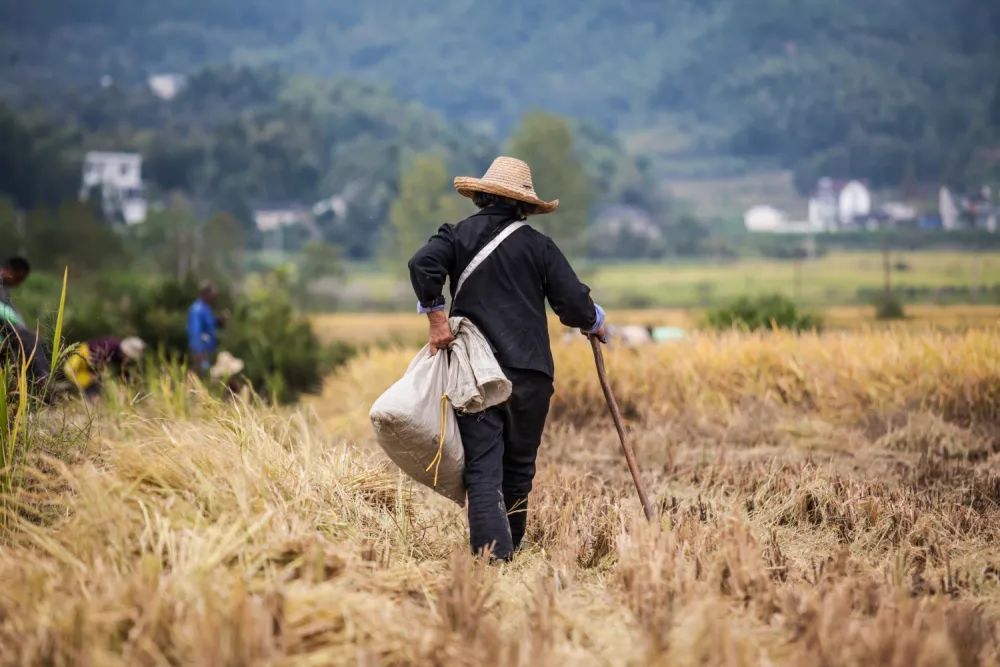 雷 明：人类历史上最伟大的故事之一，，，，，我们该怎样讲述？？？？